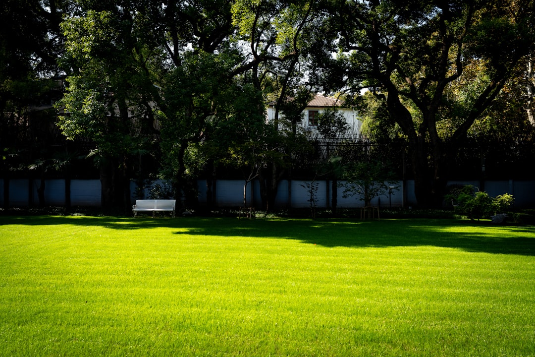 Freshly mowed residential lawn in McNairy County, Tennessee with crisp edges and a tidy property